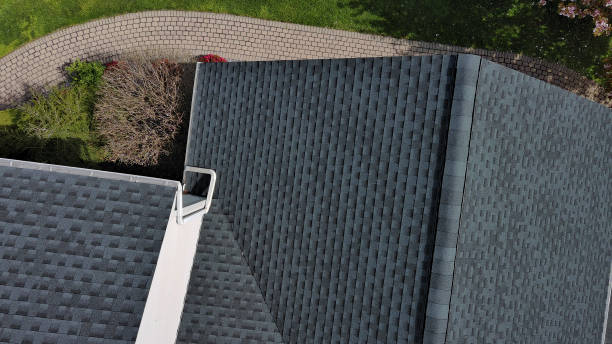 Best Roof Maintenance and Cleaning  in Daisetta, TX