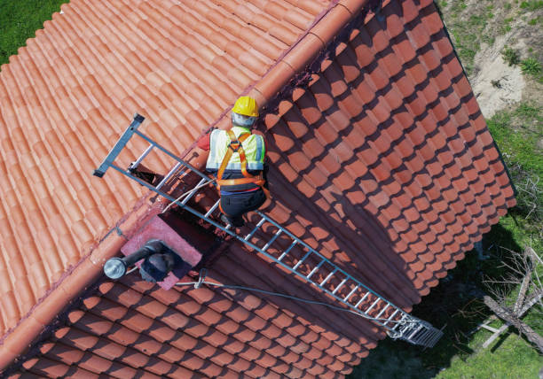 Best Sheet Metal Roofing  in Daisetta, TX