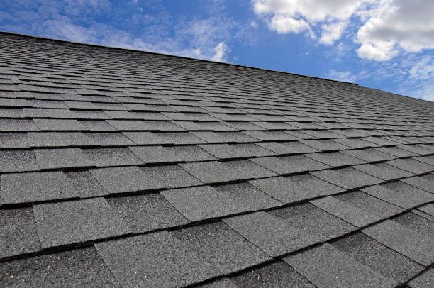 Best Rubber Roofing (EPDM, TPO)  in Daisetta, TX