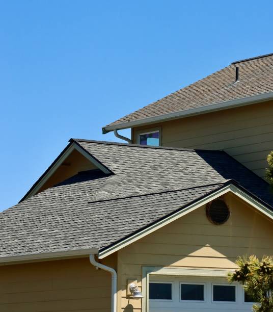 Best Skylight Installation and Repair  in Daisetta, TX